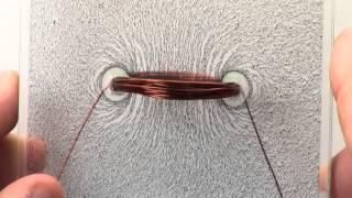 PH EM MF DEMO 70001A V1025 2D Magnetic Field Demonstrations Simple Wire Coils [upl. by Ellimac]