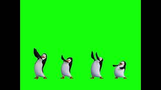 Greenscreen Dancing Penguins of Madagascar [upl. by Anicul845]