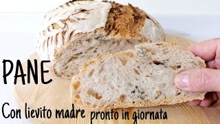 Pane con lievito madre pronto in giornata [upl. by Imuy512]