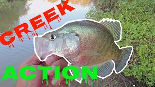 Catching crappies in the creeks before the fall of October 2024 [upl. by Alyac]