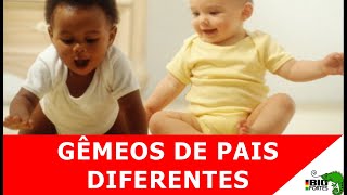 Mulher tem filhos gêmeos de pais diferentes [upl. by Llesram]