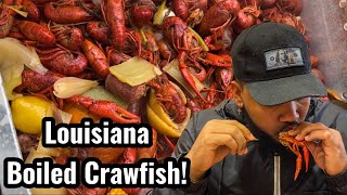 How To Make Louisiana Boiled Crawfish  Southern Cooking  Chef AldenB [upl. by Ambrosi]