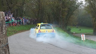 Rally of LEpine Avant Pays Savoyard 2024  Mistakes Flames amp Actions [upl. by Ahearn296]