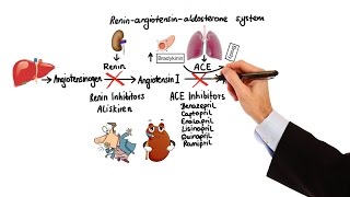 Pharmacology  HYPERTENSION amp ANTIHYPERTENSIVES MADE EASY [upl. by Shifrah106]