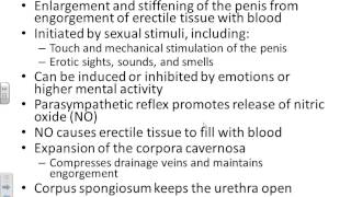 AampP II Chapter 27 Male reproductive system [upl. by Bobbe]