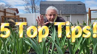 Simple Tips for Beginner Gardeners [upl. by Eisset]