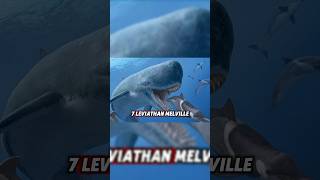 The Livyatan melvillei extinctanimals [upl. by Uno]