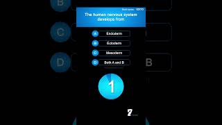 The human nervous system develops from biology brain [upl. by Deach530]