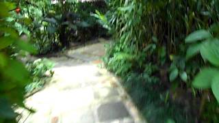 Orchid Garden Restaurant Suan Kluay Mai Ao Nang Krabi Thailand [upl. by Stoneham971]