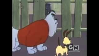 Looney Tunes Chester y Spike en Español [upl. by Vi]