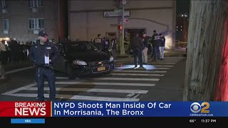 UPDATE Policeinvolved shooting in Morrisania section of the Bronx [upl. by Atinal]