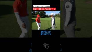 アプローチの基本は球を上げずに転がすことです 片山晋呉 golf ゴルフ shorts [upl. by Sinnal]