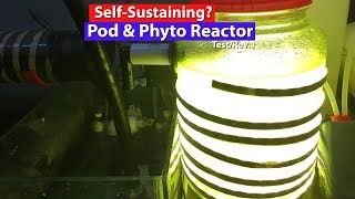 Self Sustaining Pod and Phytoplankton culture  DIY Phytoplankton Reactor1 Test 1 [upl. by Morentz]