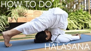 How to do Halasana The Plow Pose  SRMD Yoga [upl. by Aropizt]