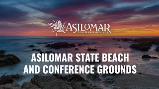 Asilomar State Beach and Conference Grounds [upl. by Aicilaf997]