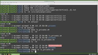 Linux Command Line 25 setuid [upl. by Huba403]