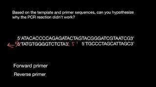 Primer Designing for PCR by MEGA X tool [upl. by Tuorah]