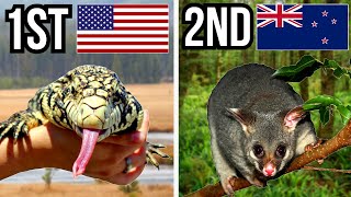 5 Countries With The Most Invasive Species [upl. by Calandria80]