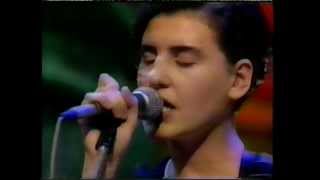 Elastica  Vaseline Later with Jools Holland [upl. by Schellens]