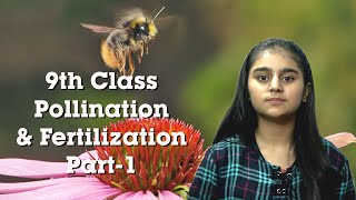 Pollination amp Fertilization  ICSE Class 9 BiologyPart 1 [upl. by Anuaek]