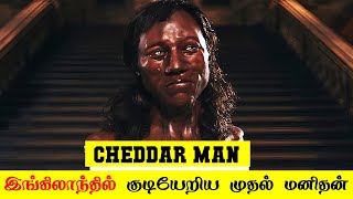 இங்கிலாந்தின் முதல் மனிதன்  Cheddar man  5 Min Videos [upl. by Airtemad]