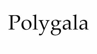 How to Pronounce Polygala [upl. by Larrabee]