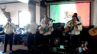 Mariachi gallos de oro detroit [upl. by Ophelia278]