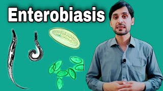 Enterobiasis Disease  Enterobius Vermicularis  Symptoms  Treatment and Life Cycle [upl. by Aititel]