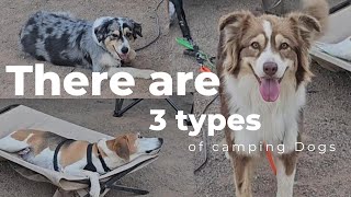 We are back on the road again camping with dogs [upl. by Mehalek]