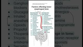 Factors affecting lower esophageal tone [upl. by Stillmann]