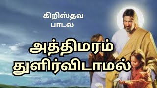 அத்திமரம் துளிர்விடாமல்பர்னபாஸ்பெர்க்மான்ஸ் [upl. by Townie]