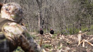 NEBRASKA Turkey Trip 2024  Tagged out [upl. by Elhsa]