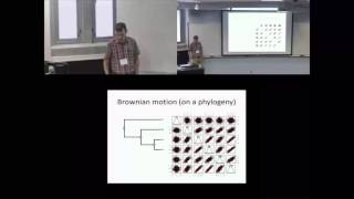 Ancestral state reconstruction for discrete amp continuous traits [upl. by Lalage839]