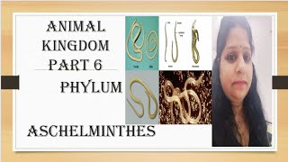 PHYLUM ASCHELMINTHES ANIMAL Kingdom Part 6 FOR NEET BOARD AND COMPETITIVE EXAMS BINDU PARASHAR [upl. by Nnaarual]