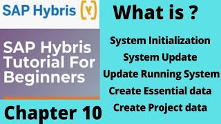 system initialization and update in hybris  SAP hybris tutorial for beginners Part10 [upl. by Wordoow]