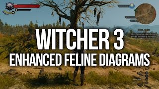 Witcher 3  ALL Enhanced Feline Diagram Locations Upgrade Armour and Weapons [upl. by Assirk220]