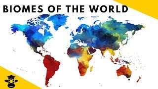 7 Biomes of the World Facts [upl. by Keil268]