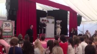 Jedward meet Bosco in Fota Wildlife Park [upl. by Bocaj]