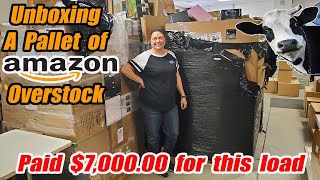 Unboxing A Pallet of Amazon Overstock that we paid Thousands of dollars for and we found cows [upl. by Cavil]