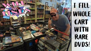 Thrift store hunting for rare and valuable DVDs [upl. by Naras]