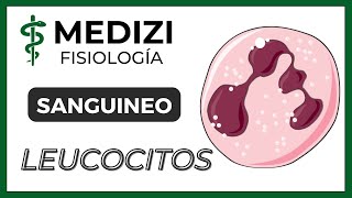 Clase 33 Fisiología Sanguínea  Leucocitos e Inflamación IGdoctorpaiva [upl. by Onder]