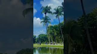 cantonment college jessore  love newsong music lookschallenge song [upl. by Namrehs]