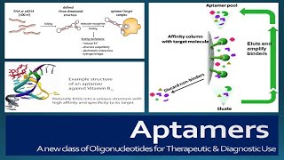 Aptamers Structure SELEX selection Advantages Disadvantages and Applications [upl. by Autry]