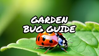 Discovering Common Garden Bugs A Guide [upl. by Voleta38]