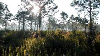 Dupuis Management Area  Western Palm Beach County FL [upl. by Hnirt458]