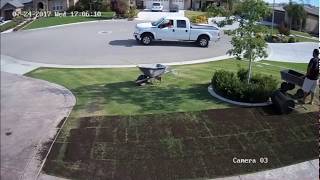 Organic Composted Manure on Lawn  Time Lapse  Central California  Amazing Results [upl. by Anilef54]