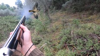 Για Τσίχλες Με Το Citori Hunting Turdus With Browning Citori [upl. by Eulau927]