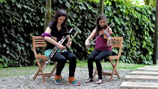 Uilleann Pipes and Fiddle [upl. by Amitie]