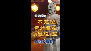 凡事謝恩  秦始皇的「不死藥」竟然藏在《聖經》里？真相太震撼！ 基督徒 基督徒信仰 十字架 神 敬拜詩歌 信仰 感謝主 人生感悟 人生 海外华人 启示录 家庭 人生 婚姻 [upl. by Yuht]