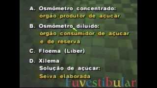 10 Tecidos Condutores Líber ou Floema  Biologia Vestibulando Digital [upl. by Madid]